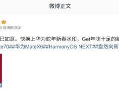 华为新春惊喜！Mate70、Mate X6及鸿蒙系统机型喜迎蛇年水印功能