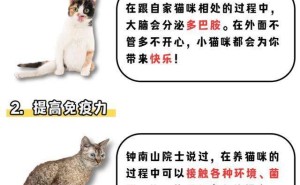 养猫竟然有这么多益处？连钟南山院士都点赞！