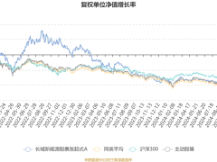 长城新能源股票A基金2024Q4亏损200万，净值跌超8%，未来策略如何？