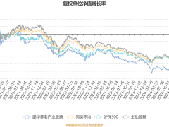 鹏华养老产业股票2024Q4亏损超四千万，净值下滑9.24%未来何去何从？