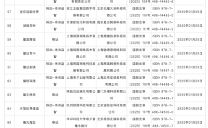 2025年1月国产网游审批结果出炉，123款游戏成功获批！