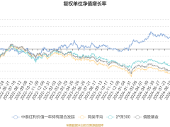 中泰红利价值基金2024Q4利润揭晓，净值微增0.26%，持仓策略如何？