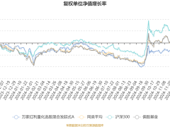 万家红利量化A基金2024Q4业绩揭晓：利润4.46万，净值增0.94%