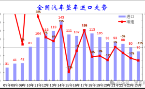 2024年中国汽车进口量创新低，豪车成进口市场唯一支柱？