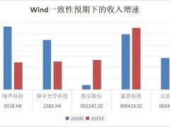 2024瑞聲科技強勢回歸，業績股價雙豐收，感知體驗創新引領未來