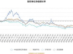 中加改革红利混合基金2024Q4亏损301万，净值下滑7.02%，未来策略如何？