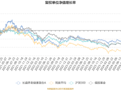 长盛养老健康混合A四季度亏损749万，净值下滑近6%，未来投资方向何在？