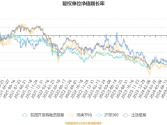 前海开源再融资股票2024Q4亏损159万，净值微跌0.42%，未来投资走向何方？