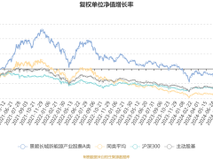 景顺长城新能源产业A类基金2024Q4业绩揭晓：利润近亿，净值涨4.53%