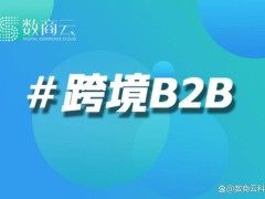 2025年B2B电商新风向：技术驱动、模式升级与市场全球化趋势