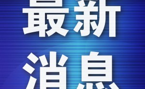 广州中华田园犬“摘帽”危险犬，本土犬种获认可！