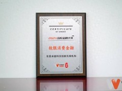 杭银消费金融：数字金融创新典范，斩获科技先锋大奖