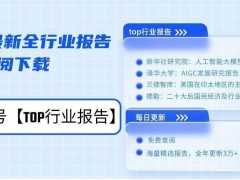 小红书：Z世代生活指南，广告电商并驱领航新风尚