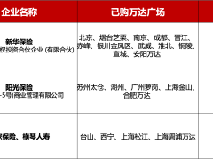 万达困局下的2025：王健林如何破冰，险资成广场新东家？