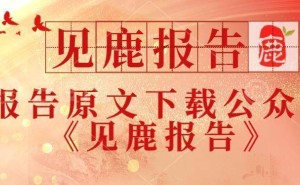 小红书电商2024：百强榜揭晓，商家生态如何蓬勃生长？