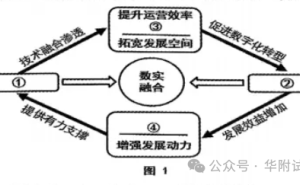 数字经济如何引领未来高质量发展？