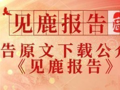 小红书电商2024：百强商家如何乘风破浪，共绘电商新蓝图