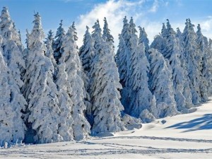 春节归家路遇寒潮暴雪，8省区迎大到暴雪天气挑战