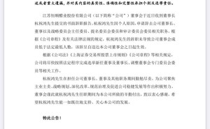 恒顺醋业董事长辞职，公司如何应对？新任董事选举在即