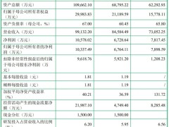 森峰科技IPO梦碎，年营收近十亿背后，李峰西夫妇身负3699万债务