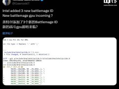 英特尔锐炫显卡再添新成员？24GB B580战将显卡即将来袭？