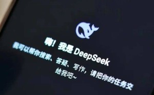 DeepSeek引全球关注，多国及科技大佬态度各异！