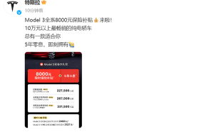 特斯拉新春大促：Model 3全系享史上最大优惠，首付月供超划算！