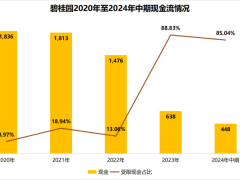 碧桂园复牌大涨后遇冷，杨惠妍化债路仍长