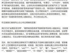 蔚来法务部重拳出击：起诉网络黑公关及水军账号