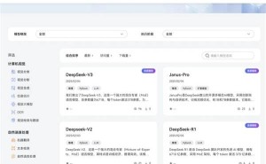 华为DeepSeek系列模型登陆昇腾社区，一键获取体验AI新高度！