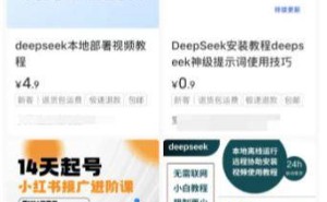 DeepSeek培训课程热，是真金还是泡沫？