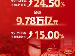 2025年春節(jié)支付盛宴：銀聯(lián)網(wǎng)聯(lián)交易暴增，移動支付新挑戰(zhàn)浮現(xiàn)