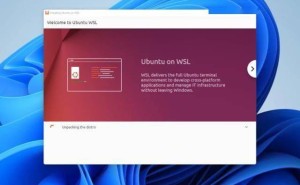 Ubuntu on WSL升级：支持tar安装，摆脱微软商店更便捷！