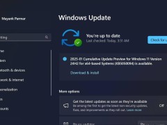 Win11一月更新引發(fā)新問(wèn)題：光標(biāo)頻繁轉(zhuǎn)圈，文件資源管理器無(wú)響應(yīng)