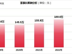 绿盟科技业绩下滑却现董事长薪酬增两成，内部管理引关注！