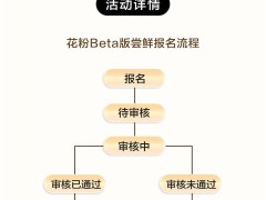 华为MatePad Pro 12.2英寸平板鸿蒙NEXT Beta版招募开启，你准备好了吗？