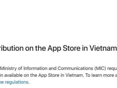 越南游戲新規(guī)：蘋(píng)果App Store上線(xiàn)必須先獲許可