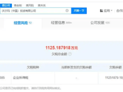 沃尔玛中国欠税超千万，企业所得税成“漏网之鱼”？