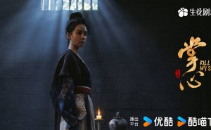 《掌心》开播引热议，古装权谋剧情紧凑，刘诗诗窦骁演技如何？