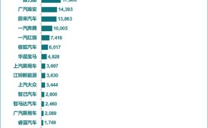 2025年1月新能源销量榜出炉：比亚迪领跑，特斯拉中国位列第四