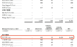 国星宇航港股IPO之路：巨亏下的高薪董事长，如何赢得市场信任？