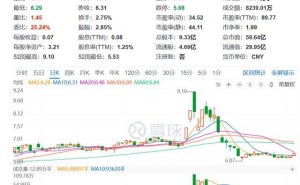 立新能源：净利预降六成，17亿储能项目上马，董事长突然辞职