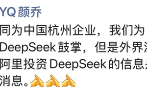 阿里否认10亿投资DeepSeek，中国企业助力引猜想