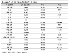 蔚来2025开年销量遇冷，李斌如何带领蔚来走出困境？