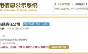 小米影业拟注销，曾出品《拆弹专家》《唐人街探案2》等影片