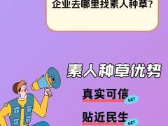 素人推广：企业品牌推广的新蓝海