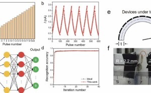万次弯折不失效！西电研发柔性硅纳米膜突触晶体管助力可穿戴设备