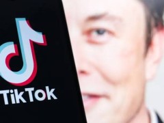 马斯克明确表态：对收购TikTok没兴趣，称自己“没计划也没行动”