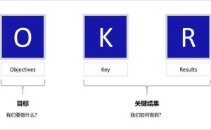 OKR实战指南：绕开陷阱，借鉴谷歌字节，解锁企业疯长密码