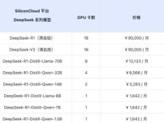 硅基流動發布DeepSeek R1&V3企業級服務，四大模式助力企業智能化升級